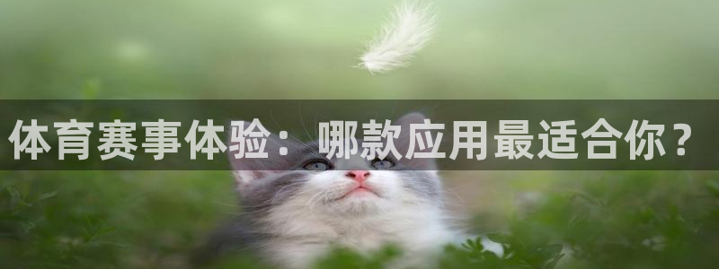 体育赛事体验：哪款应用最适合你？