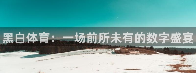黑白体育：一场前所未有的数字盛宴